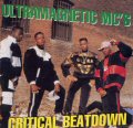 wCritical Beatdownx